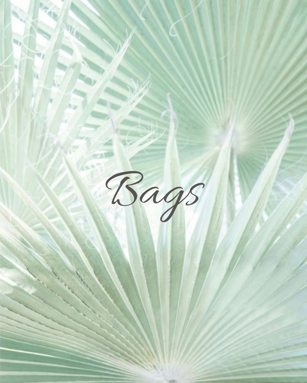BAGS