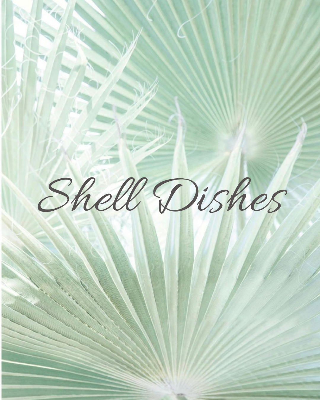SHELL DISHES