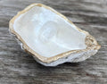 Pearl Oyster Shell