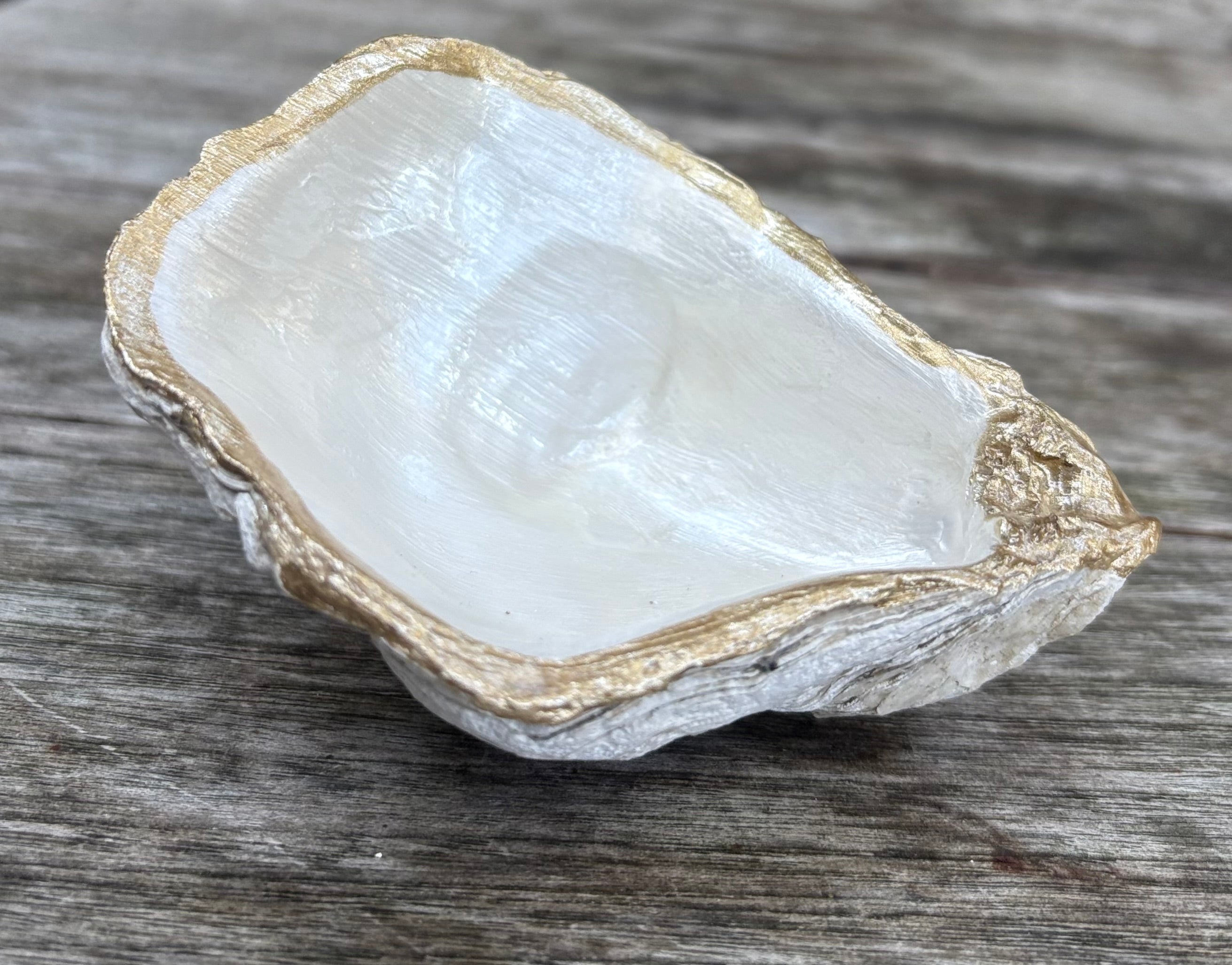 Pearl Oyster Shell