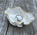 Pearl Oyster Shell