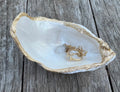 Pearl Oyster Shell