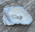 Pearl Oyster Shell