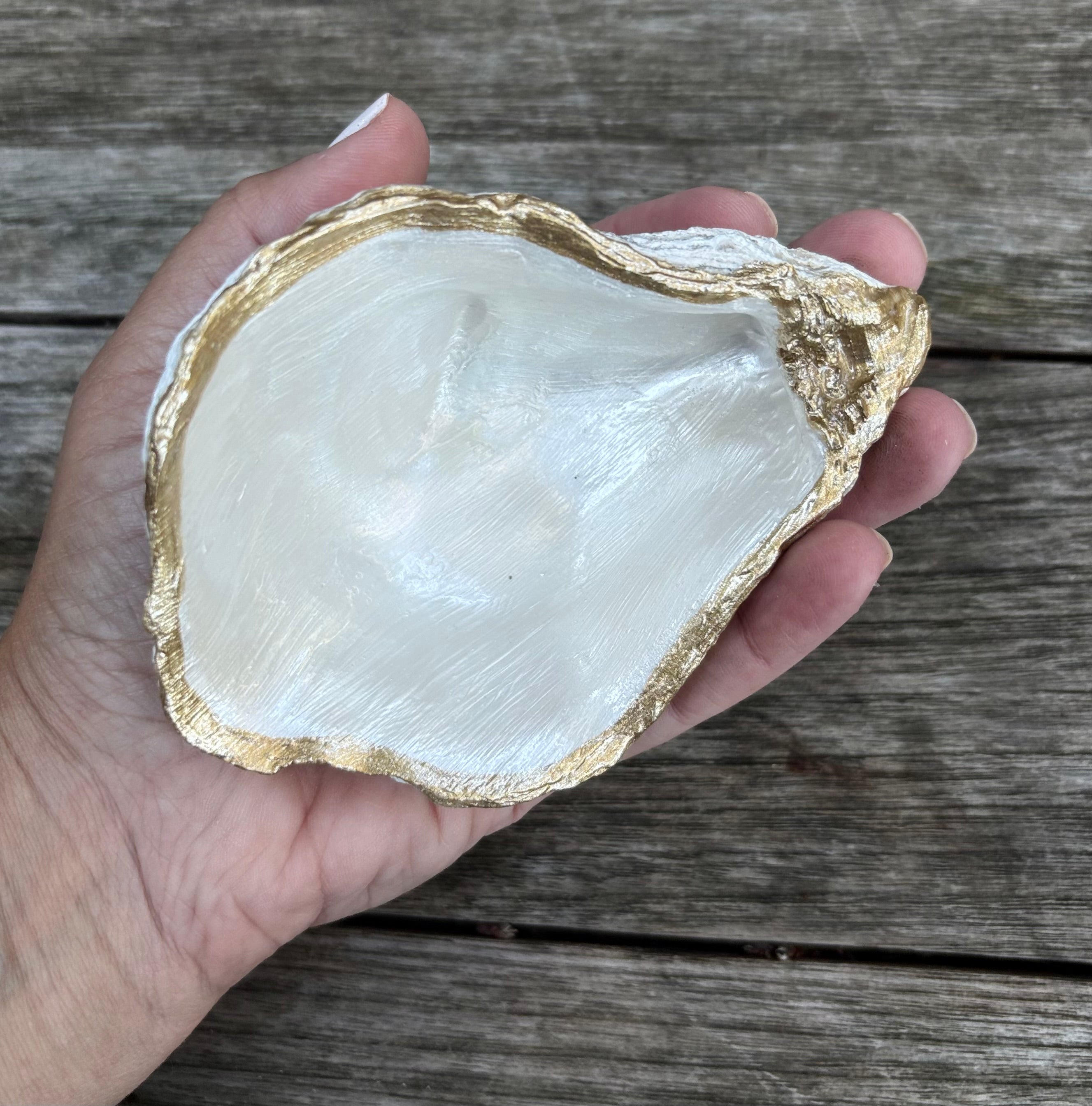 Pearl Oyster Shell