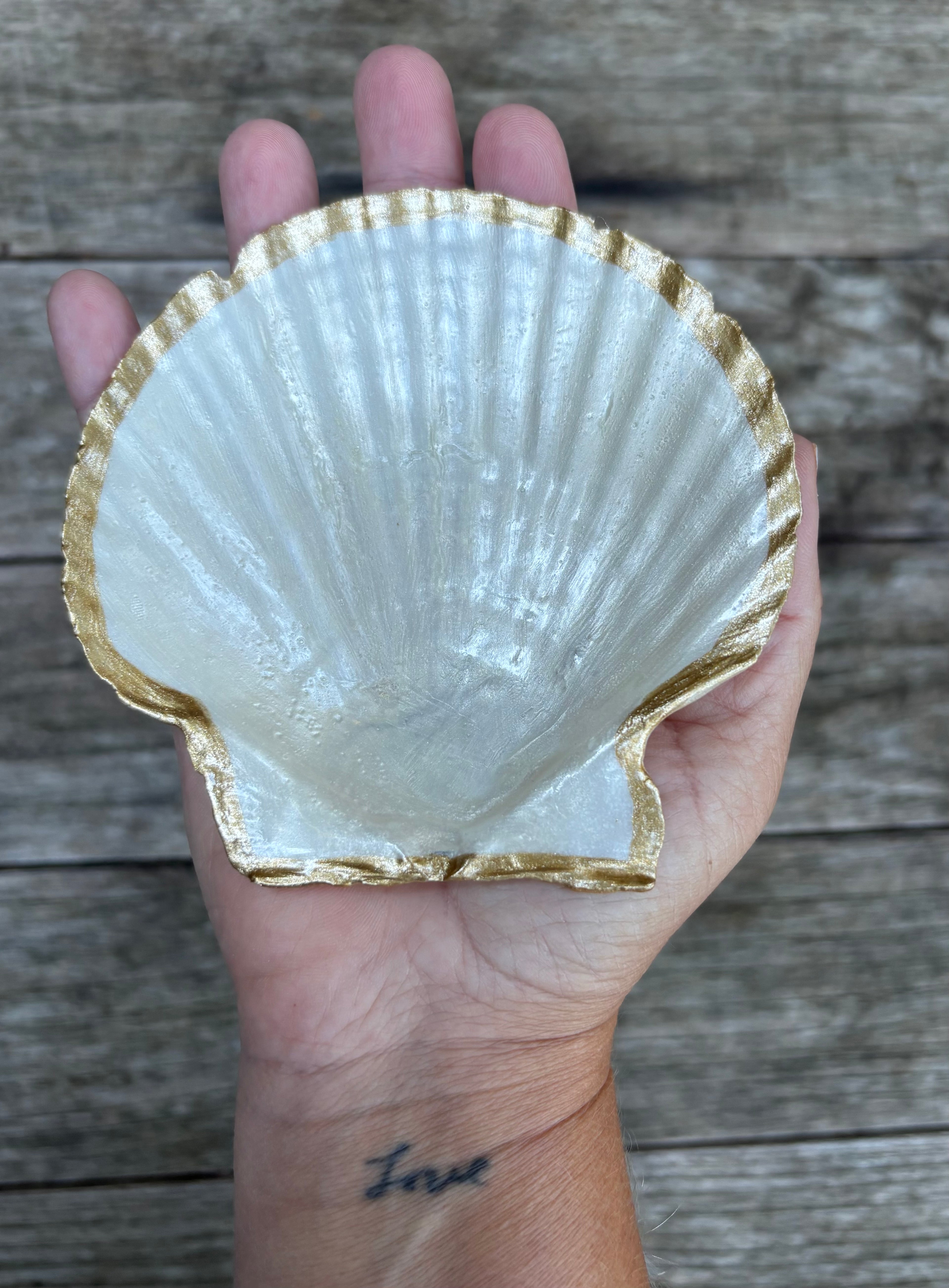 Pearl Scallop Shell