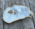 Pearl Oyster Shell