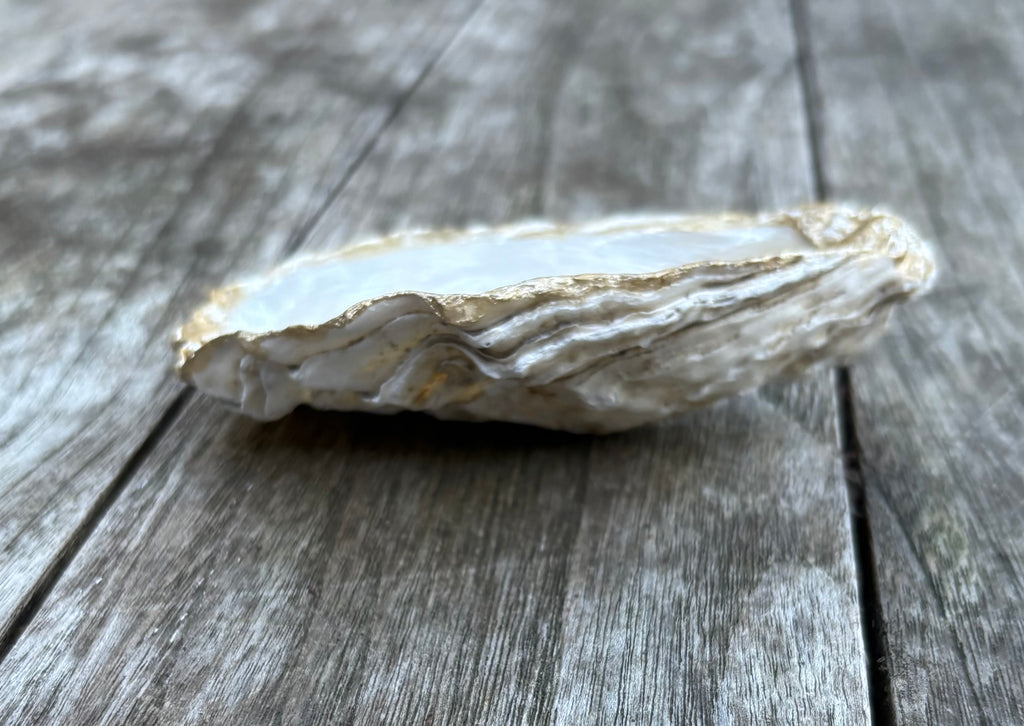 Pearl Oyster Shell