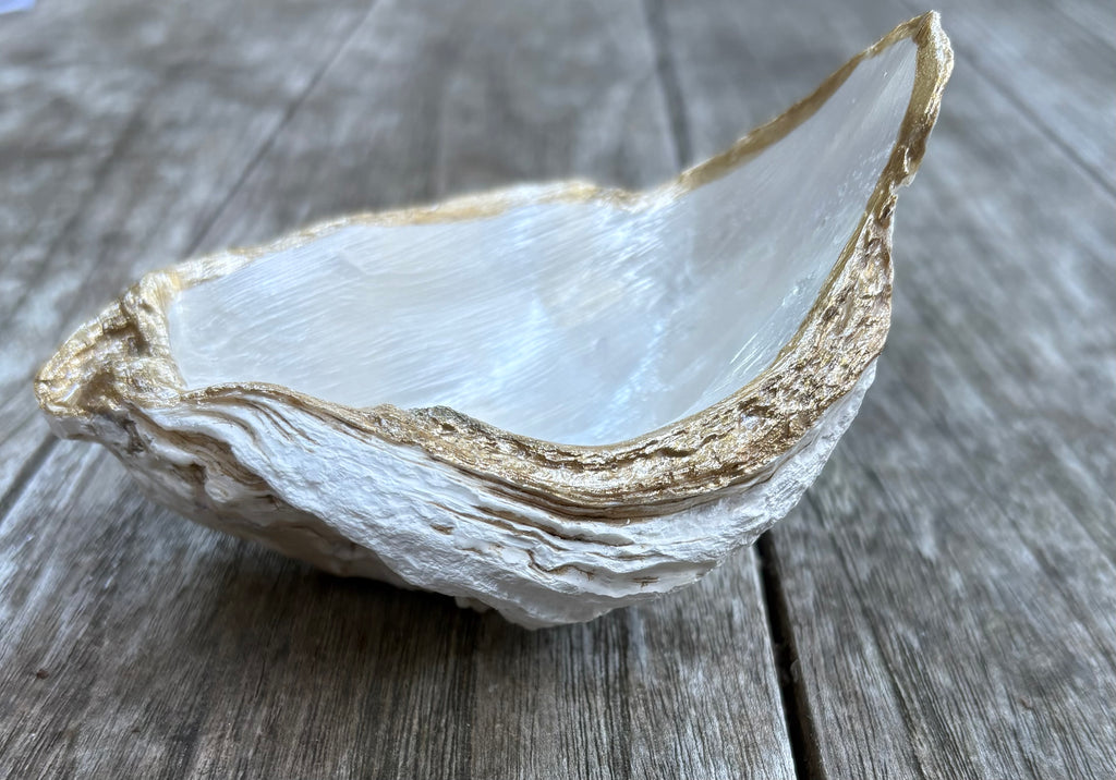 Pearl Oyster Shell