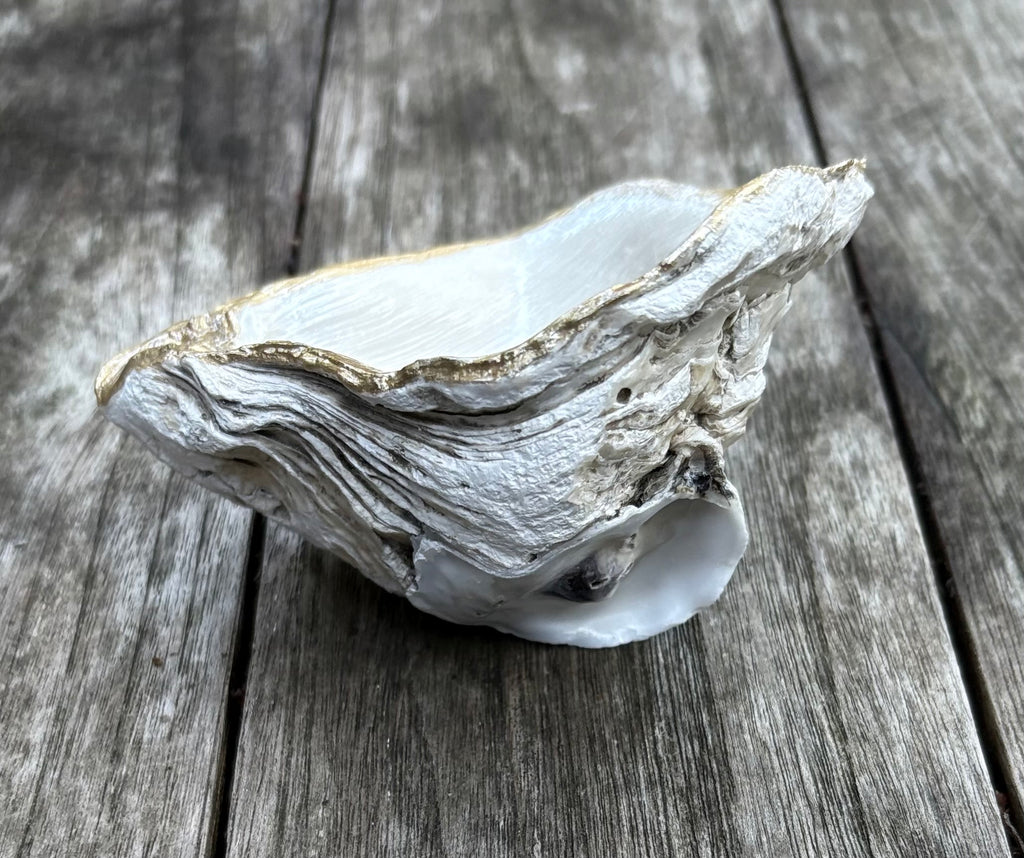 Pearl Oyster Shell