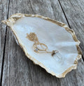 Pearl Oyster Shell
