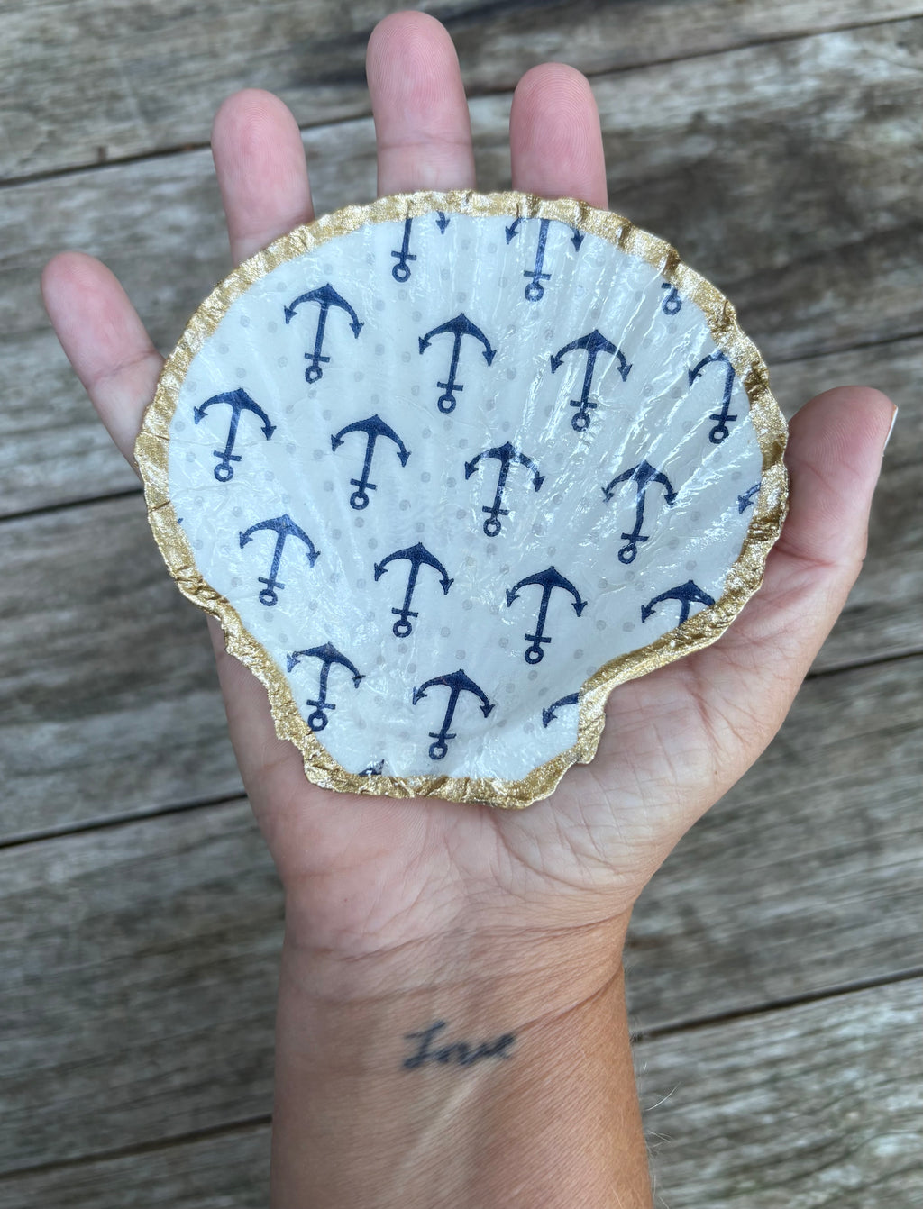 Anchor Scallop Shell