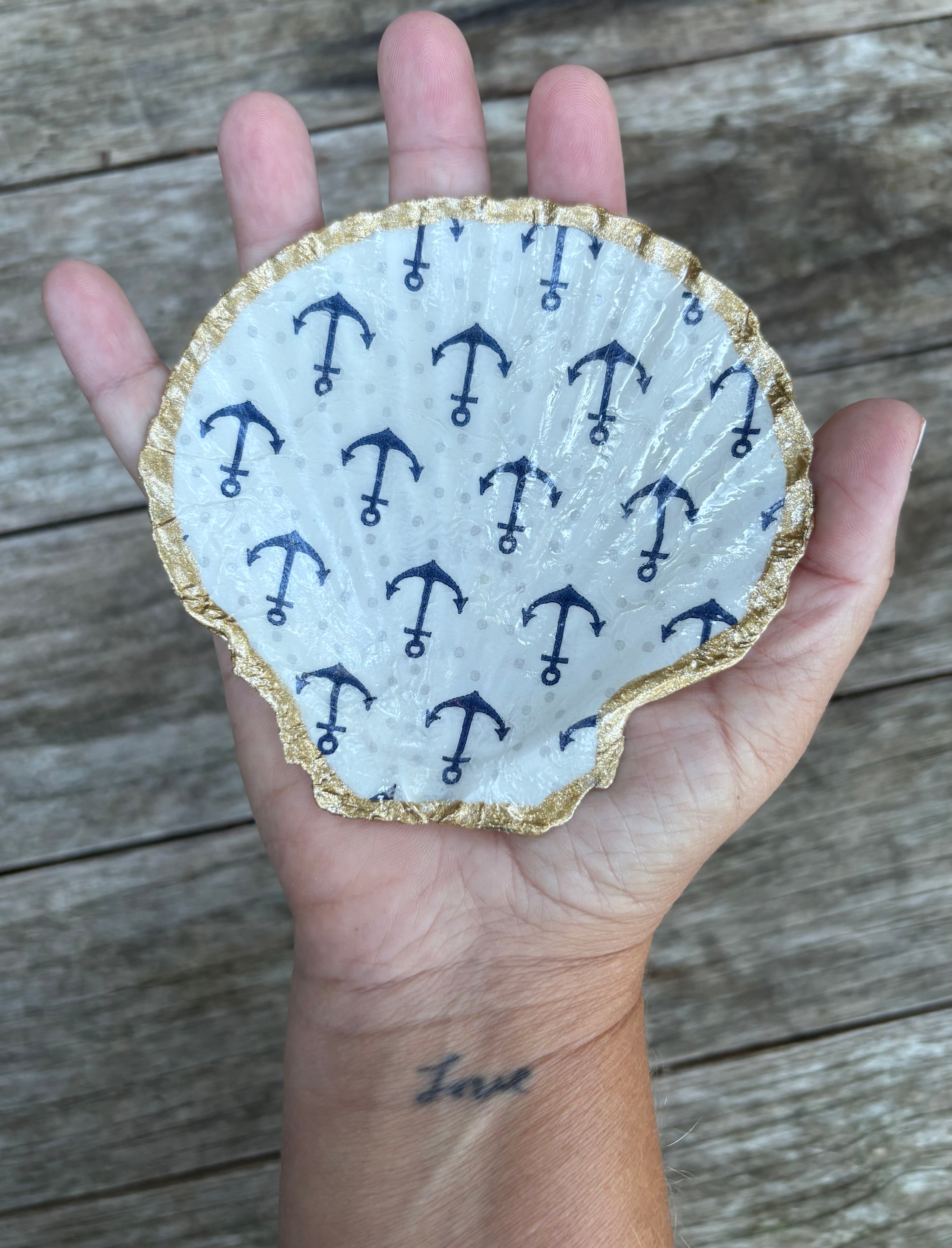 Anchor Scallop Shell